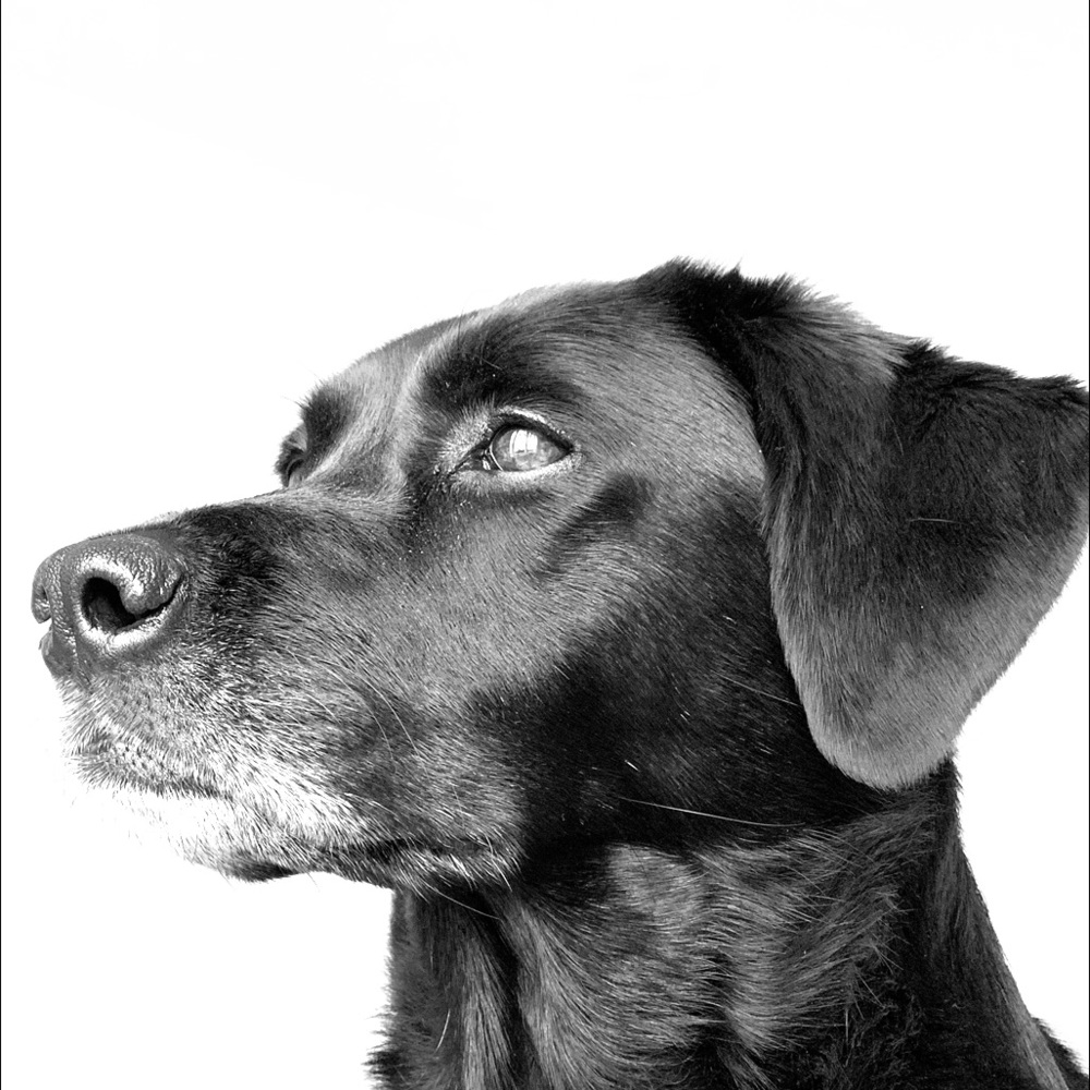 Meet your Posher, Caitlin